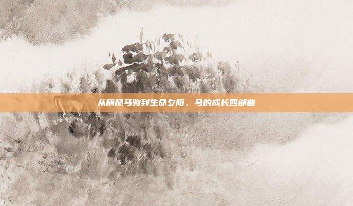 从蹒跚马驹到生命夕阳，马的成长四部曲