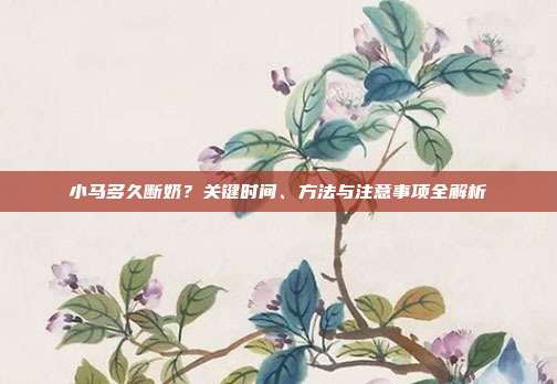 小马多久断奶？关键时间、方法与注意事项全解析