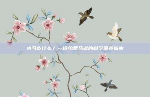 小马吃什么？一份给爱马者的科学喂养指南