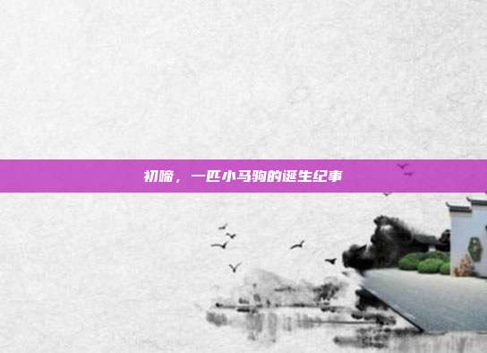 初啼，一匹小马驹的诞生纪事