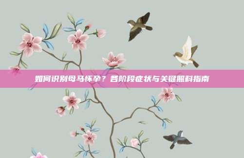 如何识别母马怀孕？各阶段症状与关键照料指南