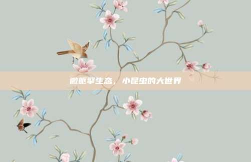 微躯擎生态，小昆虫的大世界