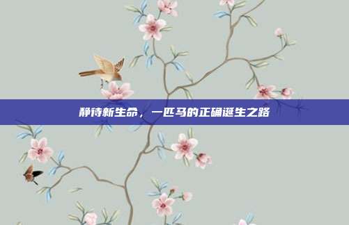 静待新生命，一匹马的正确诞生之路