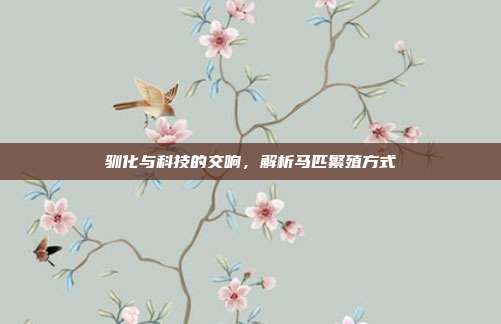 驯化与科技的交响，解析马匹繁殖方式