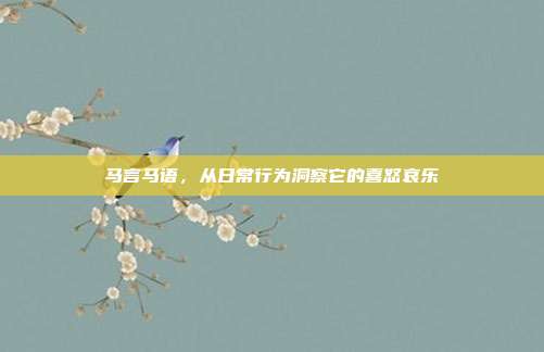马言马语，从日常行为洞察它的喜怒哀乐