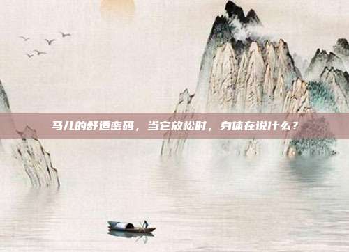 马儿的舒适密码，当它放松时，身体在说什么？