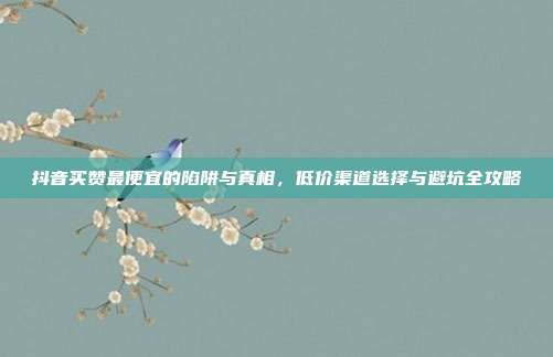 抖音买赞最便宜的陷阱与真相，低价渠道选择与避坑全攻略