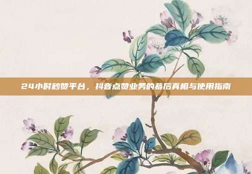 24小时秒赞平台，抖音点赞业务的幕后真相与使用指南