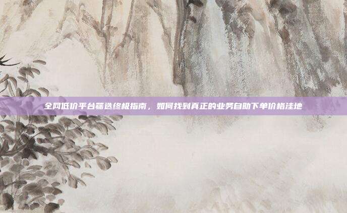 全网低价平台筛选终极指南，如何找到真正的业务自助下单价格洼地