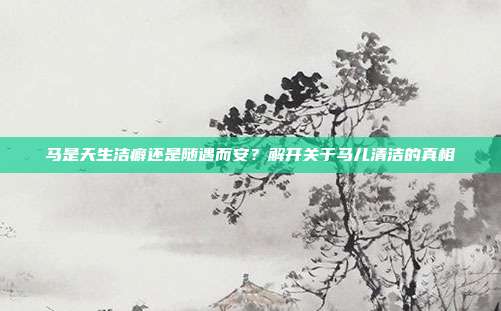 马是天生洁癖还是随遇而安？解开关于马儿清洁的真相