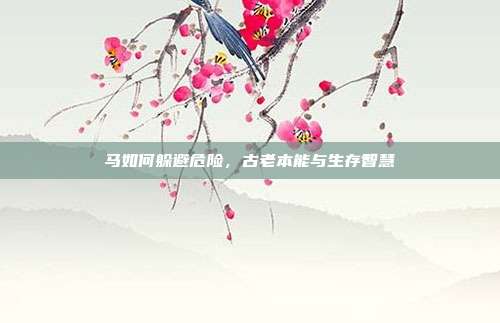 马如何躲避危险，古老本能与生存智慧