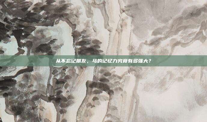 从不忘记朋友，马的记忆力究竟有多强大？