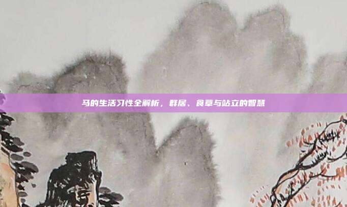 马的生活习性全解析，群居、食草与站立的智慧