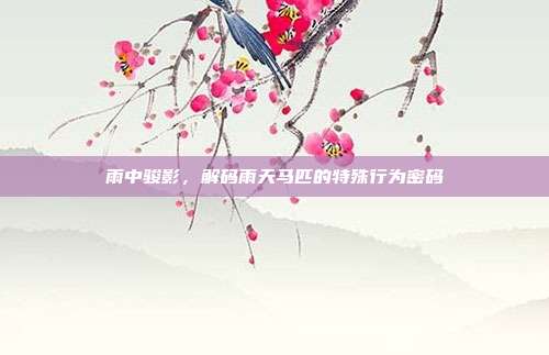 雨中骏影，解码雨天马匹的特殊行为密码