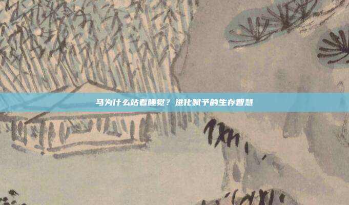 马为什么站着睡觉？进化赋予的生存智慧