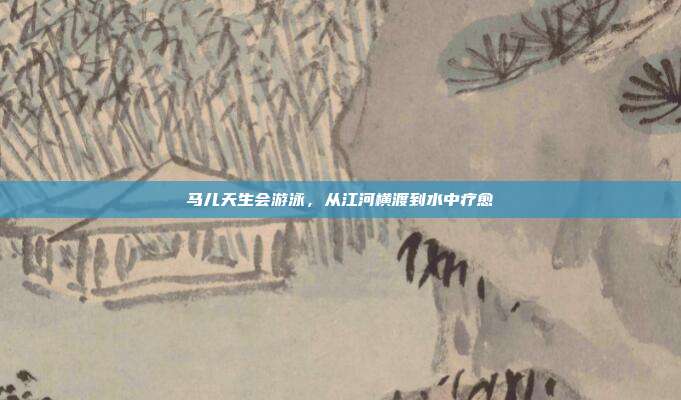 马儿天生会游泳，从江河横渡到水中疗愈