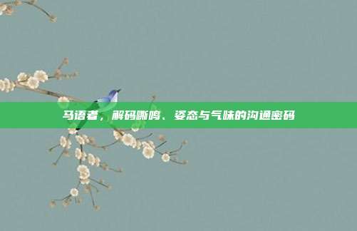 马语者，解码嘶鸣、姿态与气味的沟通密码