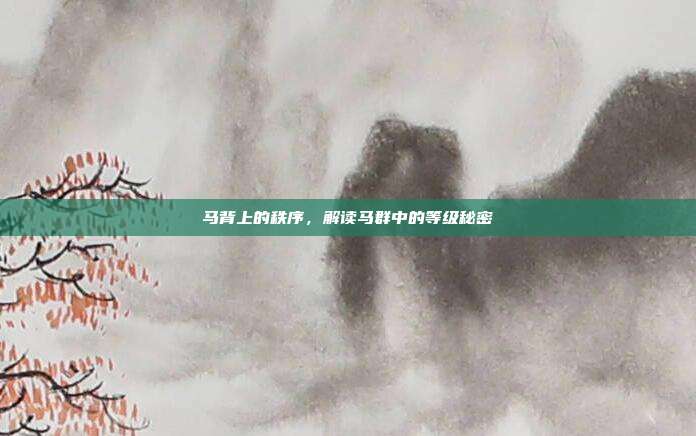 马背上的秩序，解读马群中的等级秘密