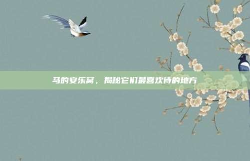 马的安乐窝，揭秘它们最喜欢待的地方