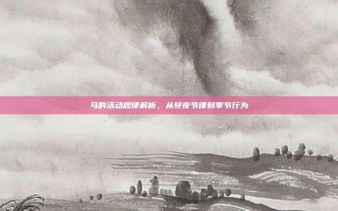 马的活动规律解析，从昼夜节律到季节行为
