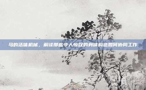 马的活体机械，解读那些令人惊叹的身体构造如何协同工作