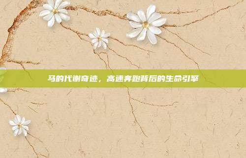 马的代谢奇迹，高速奔跑背后的生命引擎