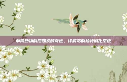 单胃动物的后肠发酵奇迹，详解马的独特消化系统