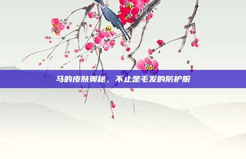 马的皮肤奥秘，不止是毛发的防护服