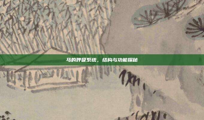 马的呼吸系统，结构与功能探秘