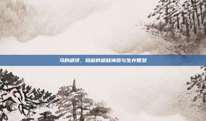 马的胡须，隐藏的感知神器与生存智慧