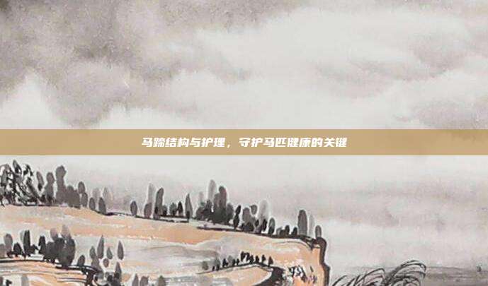 马蹄结构与护理，守护马匹健康的关键