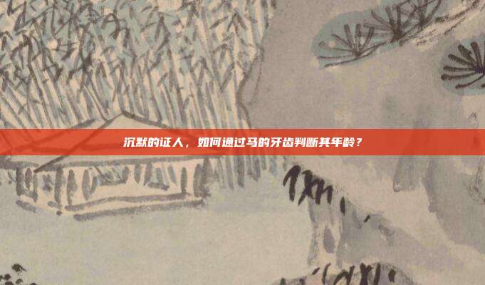沉默的证人，如何通过马的牙齿判断其年龄？