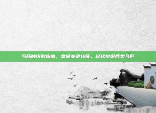 马品种识别指南，掌握关键特征，轻松辨识各类马匹