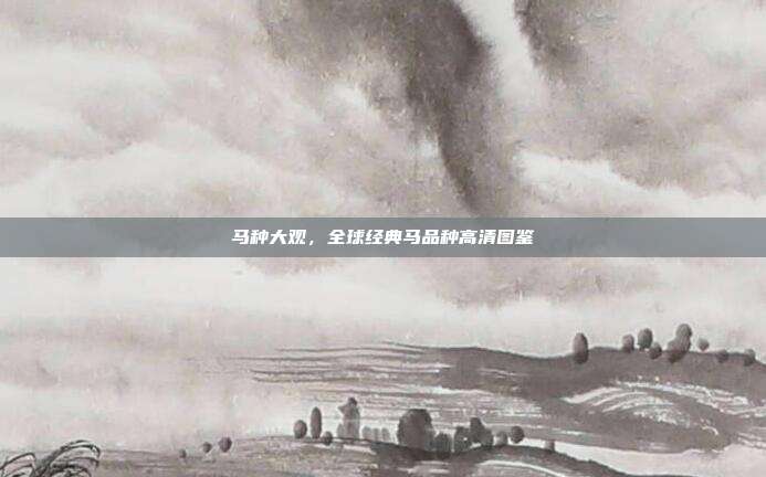 马种大观，全球经典马品种高清图鉴