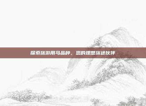探索旅游用马品种，您的理想旅途伙伴