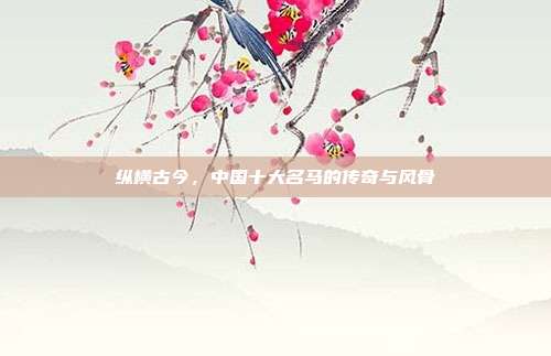 纵横古今，中国十大名马的传奇与风骨