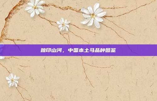 蹄印山河，中国本土马品种图鉴