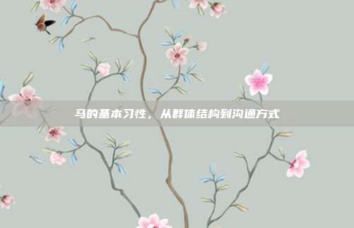 马的基本习性，从群体结构到沟通方式