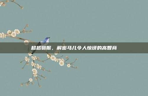 超越驯服，解密马儿令人惊讶的高智商