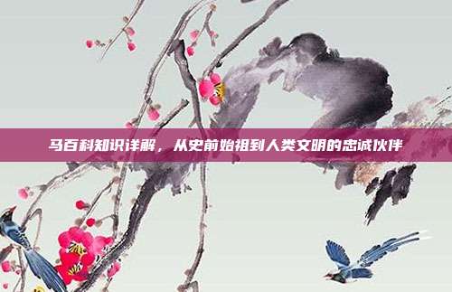 马百科知识详解，从史前始祖到人类文明的忠诚伙伴