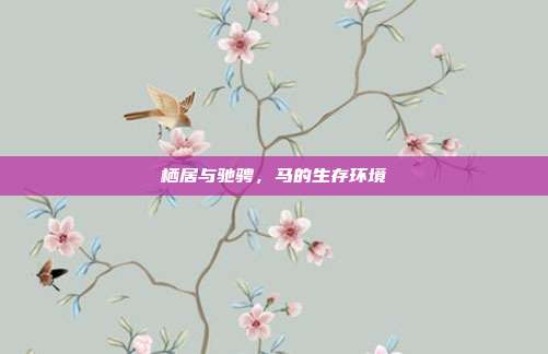 栖居与驰骋，马的生存环境