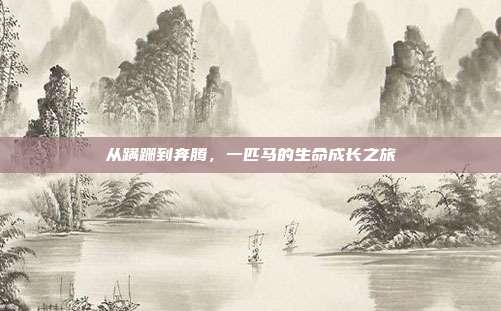 从蹒跚到奔腾，一匹马的生命成长之旅