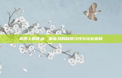 草原上的律动，解密马的自然习性与社会密码
