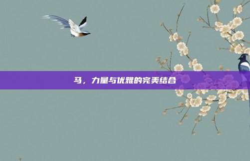 马，力量与优雅的完美结合