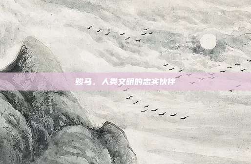 骏马，人类文明的忠实伙伴