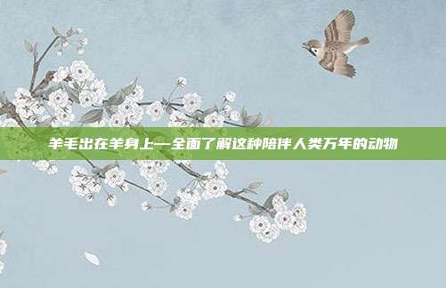羊毛出在羊身上—全面了解这种陪伴人类万年的动物