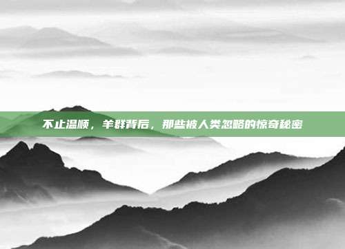 不止温顺，羊群背后，那些被人类忽略的惊奇秘密
