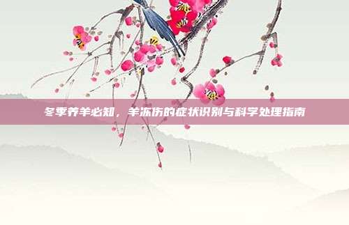 冬季养羊必知，羊冻伤的症状识别与科学处理指南