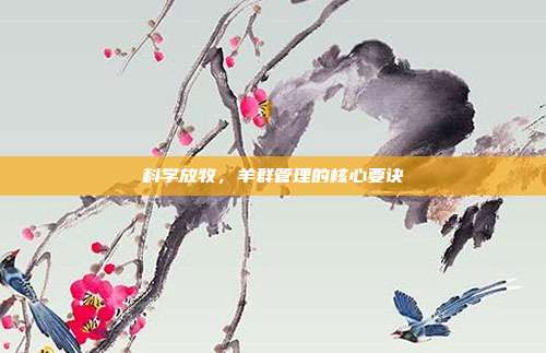 科学放牧，羊群管理的核心要诀