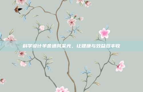 科学设计羊舍通风采光，让健康与效益双丰收